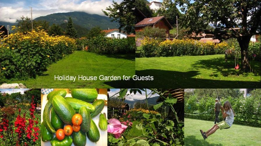 Swiss Holiday House Wilderswil Buitenkant foto